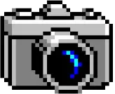 photo worthy moments